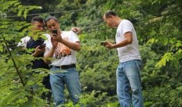 吃瓜俏佳人,揭秘娱乐圈背后的甜蜜与苦涩