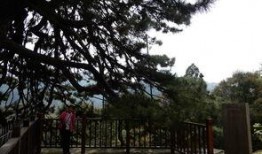 泰安徂徕山吃瓜,泰安休闲新体验