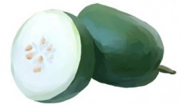 收藏届吃瓜,揭秘吃瓜背后的收藏秘密