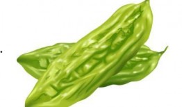 收藏届吃瓜,揭秘吃瓜背后的收藏秘密