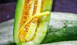 被人吃心的瓜,一场惊心动魄的悬疑大剧