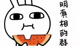 黑吃瓜每日必吃大瓜,揭秘娱乐圈每日必吃大瓜背后的真相