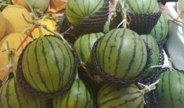 12元吃瓜,揭秘夏日街头美食新宠