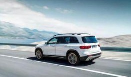 吃瓜都吃奔驰瓜,揭秘奔驰瓜的独特魅力