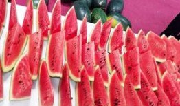 广州校园吃瓜,一网打尽那些“吃瓜”秘籍