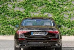 奔驰车吃瓜,一场意外的“瓜田”奇遇