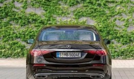 奔驰车吃瓜,一场意外的“瓜田”奇遇