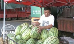 安全员吃瓜,揭秘职场安全那些事儿