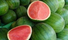 不吃瓜的人和吃瓜的人,不吃瓜者的清高与吃瓜者的热情