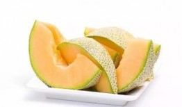 小象吃哈密瓜,一场甜蜜的味蕾之旅