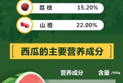 吃瓜心得1000字,品味人间烟火，洞察世间百态