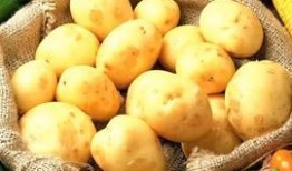 瓜酱今日吃瓜,揭秘娱乐圈最新热点事件