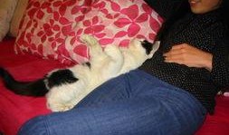 吃瓜依依,揭秘娱乐圈背后的那些事儿