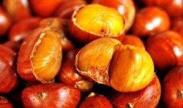 吃栗子瓜会胖吗,吃栗子瓜真的会发胖吗？