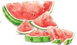 临海吃瓜最新,揭秘当地特色美食背后的故事