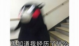 老婆发个吃瓜表情包,揭秘老婆的神秘表情包！