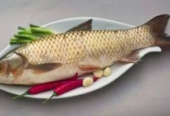 哈密瓜鱼吃吗,揭秘其独特食性及营养价值