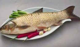 哈密瓜鱼吃吗,揭秘其独特食性及营养价值