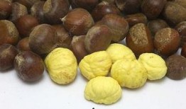 板栗瓜减肥可以吃吗,健康美味两不误