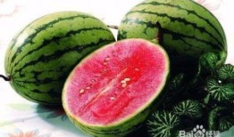夏天可以在家吃瓜吗,尽享清凉瓜果时光