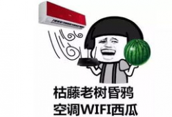 吃瓜自己成瓜了