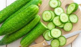 上海闵行吃瓜品种