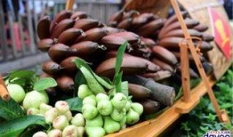 黄皮瓜新鲜怎么吃,多样吃法尽享夏日清爽