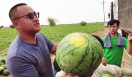 季灾吃瓜,吃瓜群众眼中的自然灾害