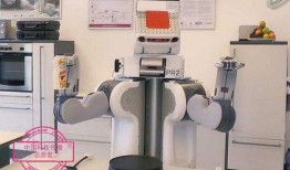 老外吃瓜机器,全球视角下的娱乐现象解析