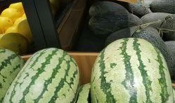 海南元宵吃瓜,甜蜜瓜果，共享团圆味