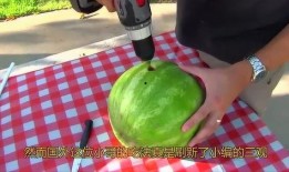 电钻吃瓜意思,揭秘电钻在瓜田里的神奇用途