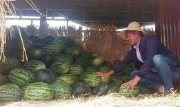 昆明情侣吃瓜事件,一场意外引发的舆论风波