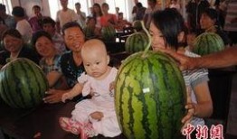 河北保定吃瓜新闻事件,一场网络舆论的风暴与反思