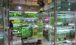 广东广州酒吧吃瓜群,揭秘都市夜生活里的八卦风云