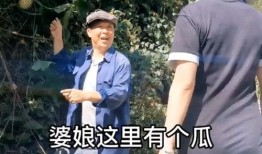 幽默段子吃瓜视频,揭秘那些爆笑吃瓜视频背后的故事