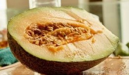 吃了田七可以吃哈密瓜吗,食用搭配探讨