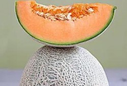 广东吃瓜大法,品味岭南美食的独特魅力