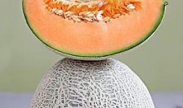 广东吃瓜大法,品味岭南美食的独特魅力