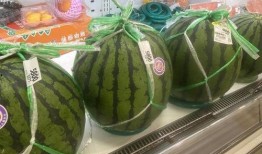 什么仙喜欢吃瓜,揭秘瓜仙的美食偏好