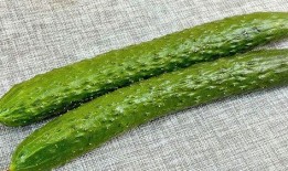 瓜怎么吃减肥最快,轻松享瘦的秘密武器