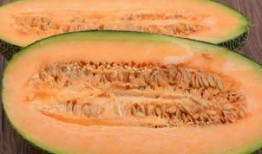 法国吃哈密瓜视频,哈密瓜的异国风情演绎