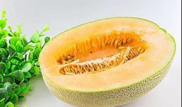 广东吃瓜大法,品味岭南美食的独特魅力