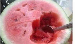 为什么吃瓜脱毛,健康饮食与美丽肌肤的完美结合