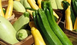 秭归吃瓜,瓜果飘香，品味田园生活