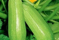 梁雨吃瓜,揭秘娱乐圈背后的那些事儿