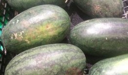 下沉吃瓜,吃瓜群众的狂欢盛宴