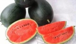 辽中医吃瓜,揭秘校园生活那些事儿