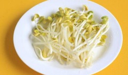 安阳幼儿师范吃瓜,揭秘校园里的“瓜田”风云