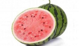 吃麒麟瓜视频素材,一场视觉与味蕾的双重盛宴