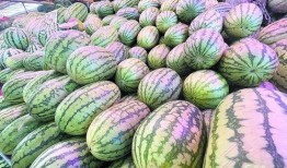 青岛科技吃瓜消息,揭秘幕后真相与行业动态